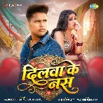 Dilwa Ke Nas (Awadhesh Premi Yadav, Shilpi Raj)