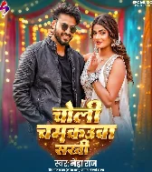 Choli Chamkauwa Sakhi