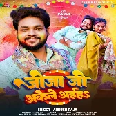 Jija Ji Akele Aiha