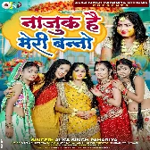 Najuk Hain Meri Banno