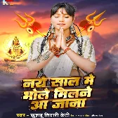 Naye Sal Me Bhole Milane Aa Jana