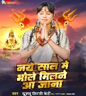 Naye Sal Me Bhole Milane Aa Jana