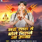 Naye Saal Me Bhole Milne Aa Jana (Khushboo Tiwari KT)